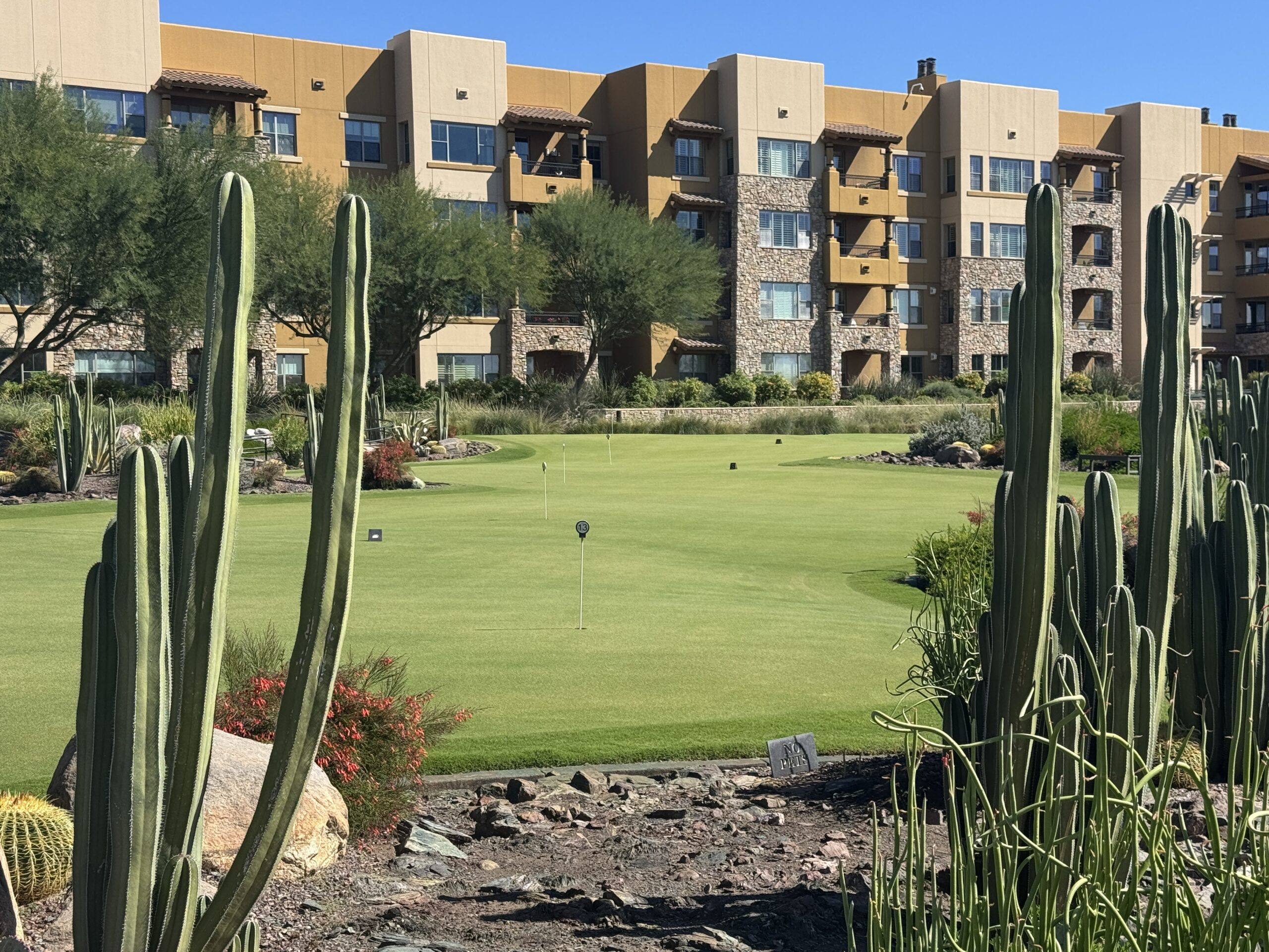 Putting green at Sagewood Golf Course surrounded by desert landscaping