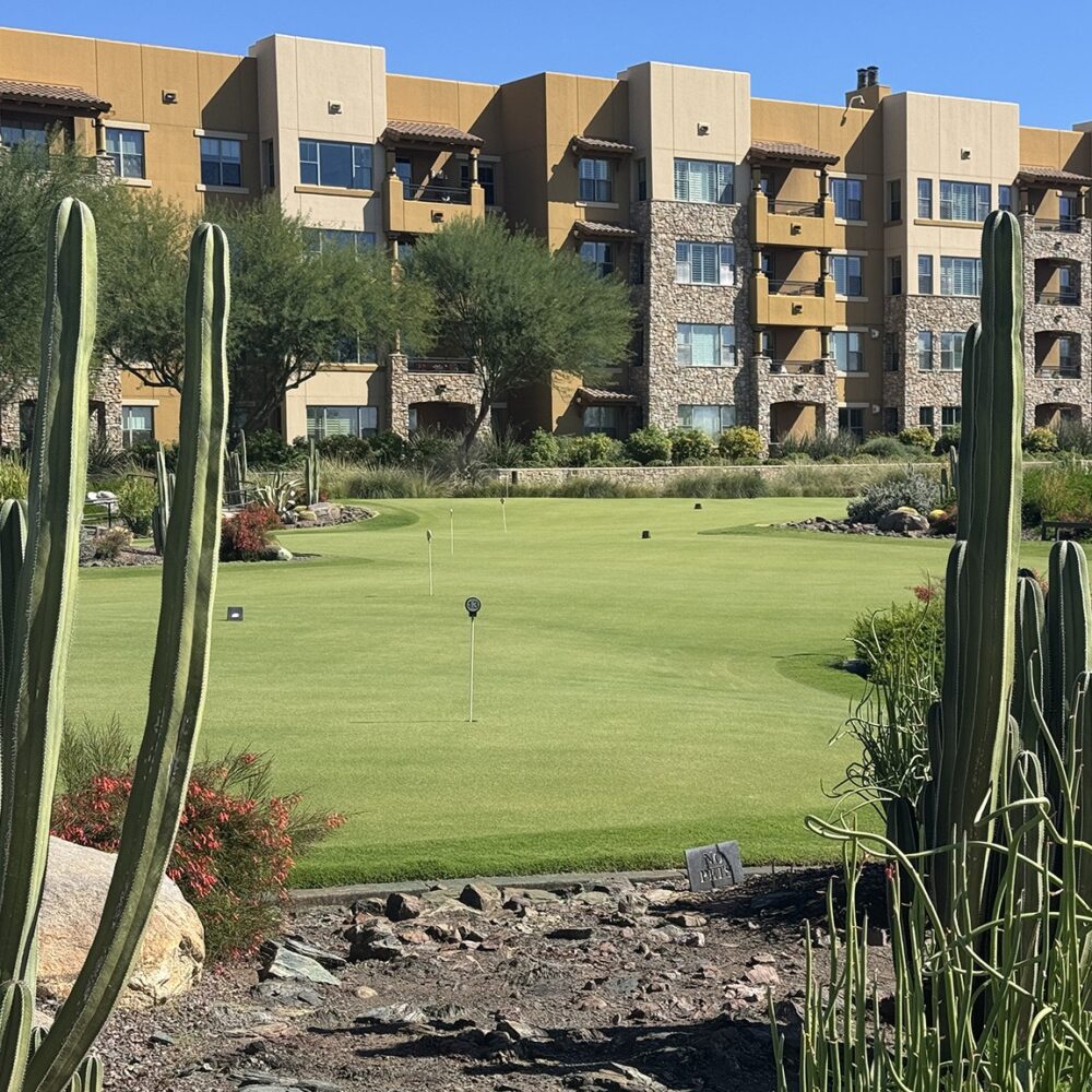 Putting green at Sagewood Golf Course surrounded by desert landscaping