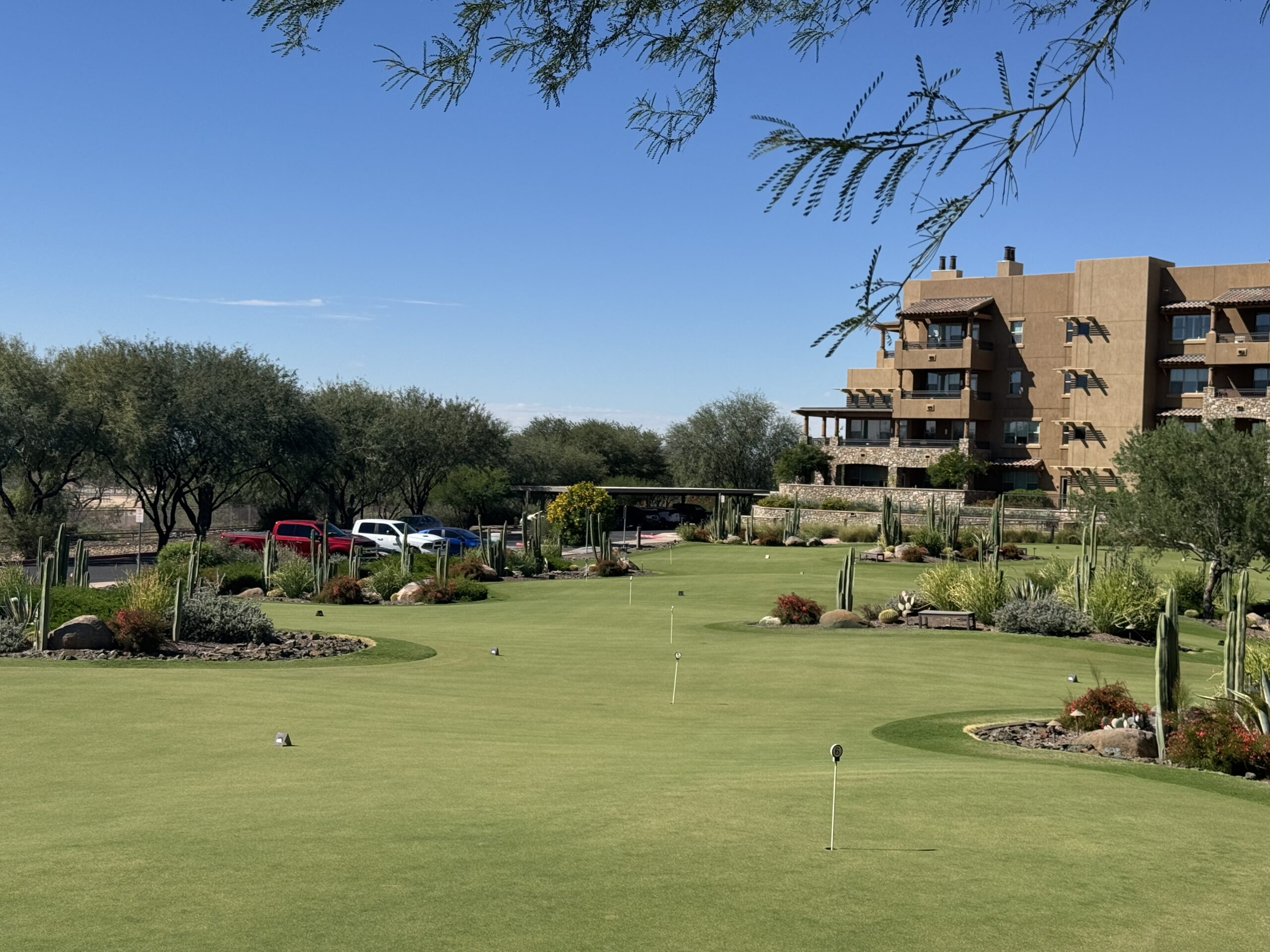 Sagewood Golf Course practice putting green surrounded by desert plants